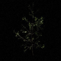 Jeune pin C — miniature Unreal du pack